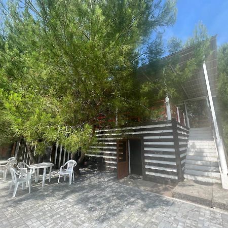 Mini-Hotel Forest Club Πιτσούντα Εξωτερικό φωτογραφία