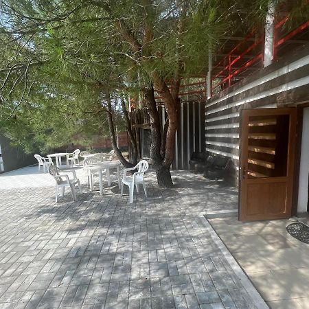 Mini-Hotel Forest Club Πιτσούντα Εξωτερικό φωτογραφία