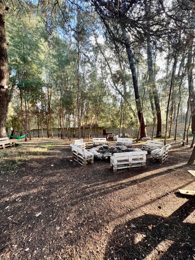 Mini-Hotel Forest Club Πιτσούντα Εξωτερικό φωτογραφία