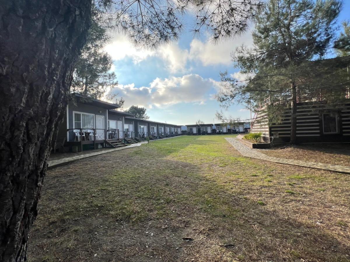 Mini-Hotel Forest Club Πιτσούντα Εξωτερικό φωτογραφία