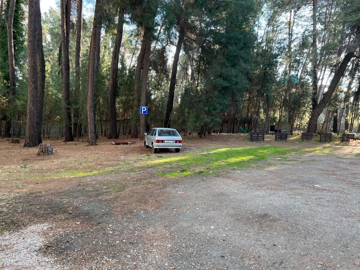 Mini-Hotel Forest Club Πιτσούντα Εξωτερικό φωτογραφία