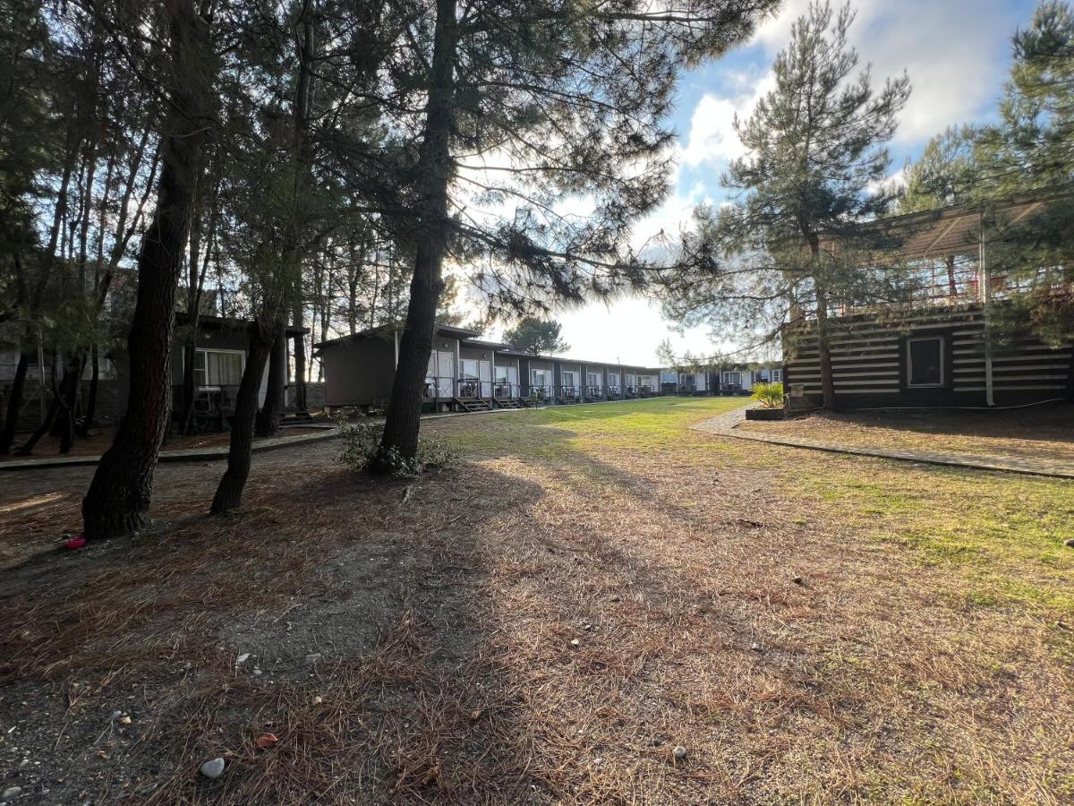 Mini-Hotel Forest Club Πιτσούντα Εξωτερικό φωτογραφία