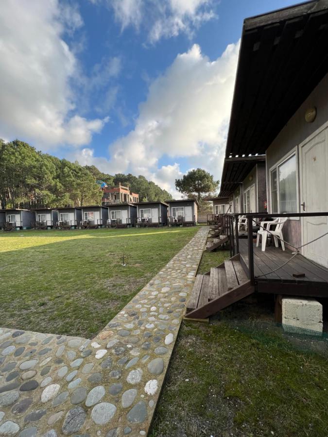 Mini-Hotel Forest Club Πιτσούντα Εξωτερικό φωτογραφία