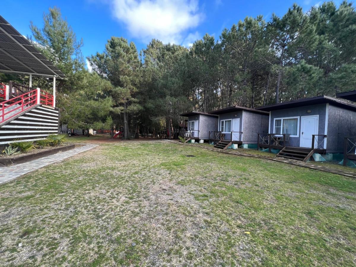 Mini-Hotel Forest Club Πιτσούντα Εξωτερικό φωτογραφία
