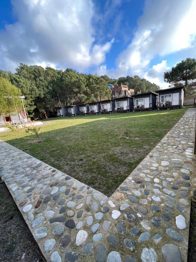 Mini-Hotel Forest Club Πιτσούντα Εξωτερικό φωτογραφία