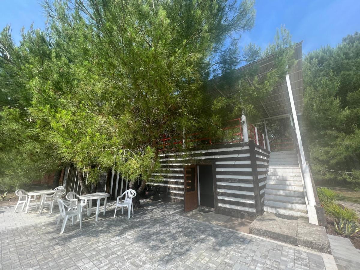 Mini-Hotel Forest Club Πιτσούντα Εξωτερικό φωτογραφία