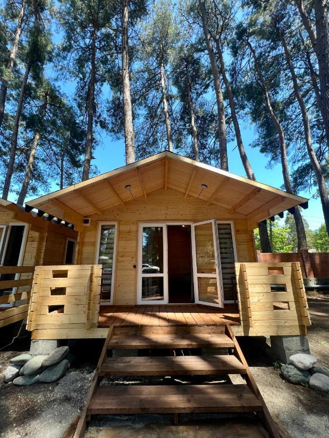 Mini-Hotel Forest Club Πιτσούντα Εξωτερικό φωτογραφία