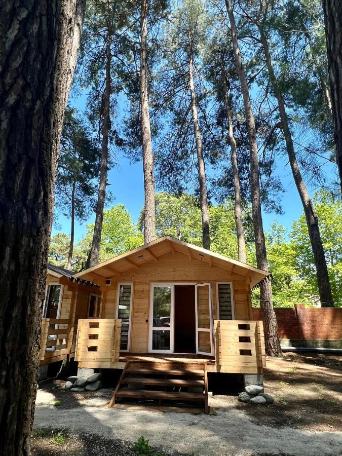 Mini-Hotel Forest Club Πιτσούντα Εξωτερικό φωτογραφία