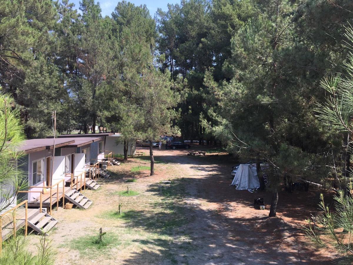 Mini-Hotel Forest Club Πιτσούντα Εξωτερικό φωτογραφία