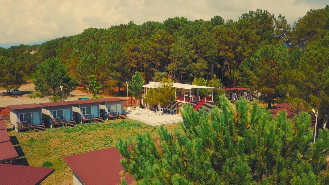 Mini-Hotel Forest Club Πιτσούντα Εξωτερικό φωτογραφία